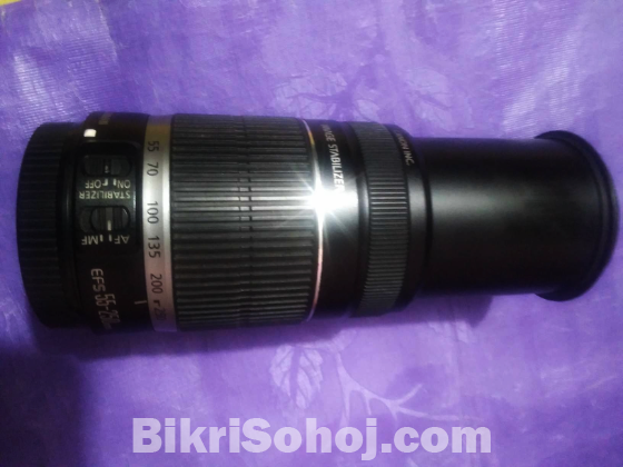 55-250 zoom lens